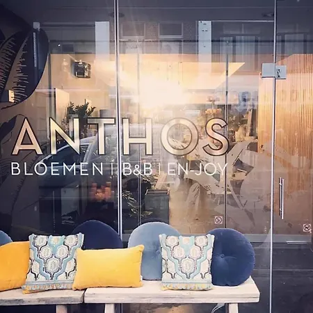 Anthos Bed & Breakfast